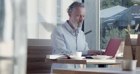 Businessman sitting in cafe working on laptop