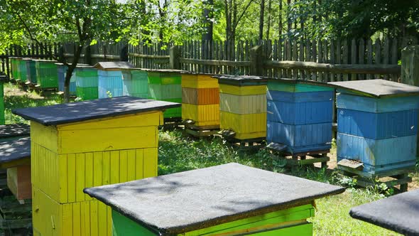 Handmade wooden beehives in the summer garden, Poland