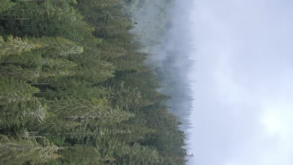 Vertical Video of Fog in the Mountains