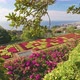 Rich Flora and Flowers in Botanical Garden of Funchal Madeira - VideoHive Item for Sale