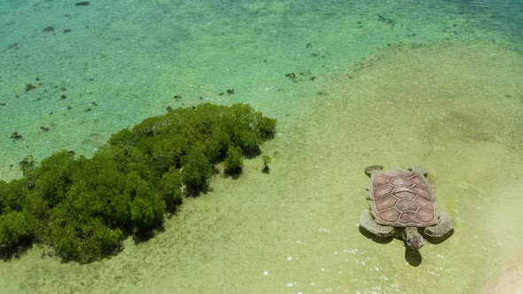 Tropical Island with Sandy Beach. Palawan, Philippines