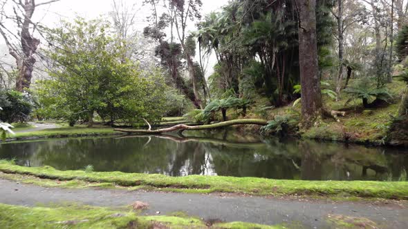 Fly over idyllic lake, lush vegetation reflection on water. Azores.