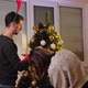 Young Couple Decorating Their Christmas Tree at Home Enjoy the Winter Holidays - VideoHive Item for Sale
