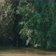 Danube Delta River Shore Line - VideoHive Item for Sale
