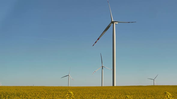 Wind electric turbine in rapeseed field