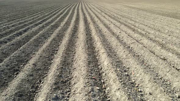 Aerial View Field is Plowed in Spring