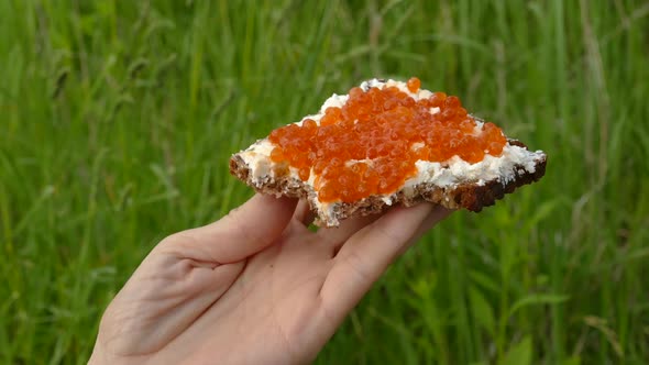 Slice of Artisan Bread with Red Caviar