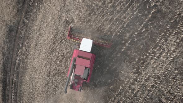 Aerial View Harvester Working on Corn Field. Autumn Agricultural Harvesting Work.