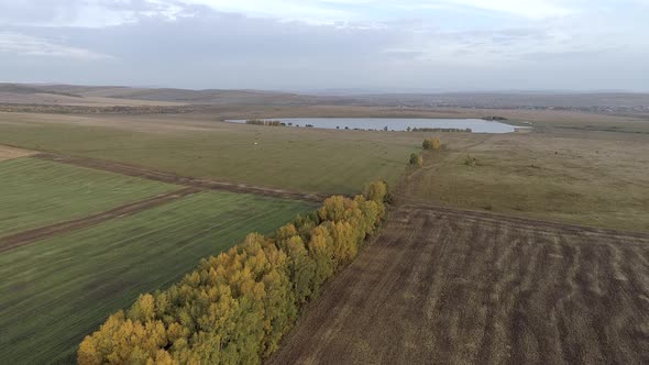 Flying over Field to Lake