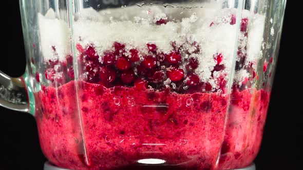 Berries Cowberry And Blender