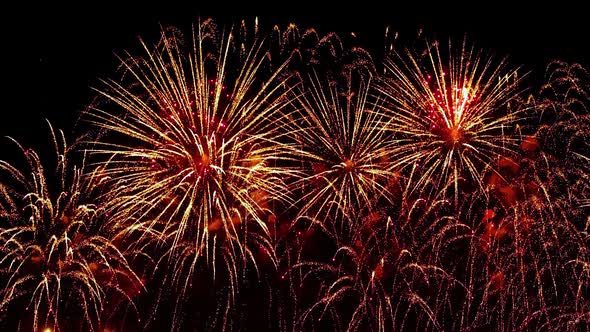 Colorful Fireworks Exploding in the Night Sky