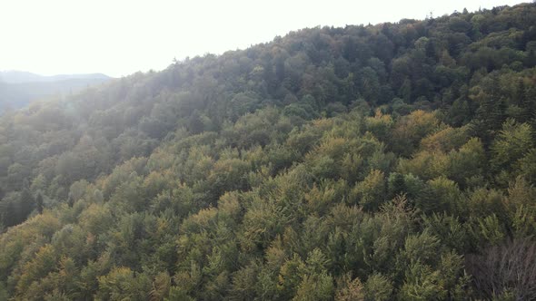 Nature of Ukraine: Carpathian Mountains Slow Motion. Aerial View