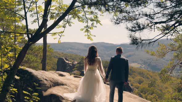 Young Wedding Couple in Love Newlyweds Walking in a Fabulous Sunny Park on a Background of Green