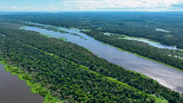 Stunning landscape of Amazon Forest at Amazonas State Brazil.