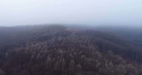 Aerial view of Wiener Woods with morning mist, Biosphere Reserve