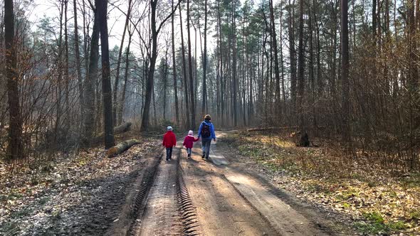 Spring Forest and Family Walking Through Sandy Road