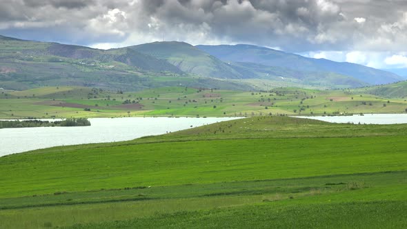 Bright Green Meadows and Fields Around The Lake