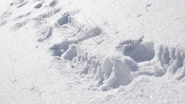 Human trail in first white snow close-up slow pan 4K 2160p 30fps UltraHD footage - Row of  footprint