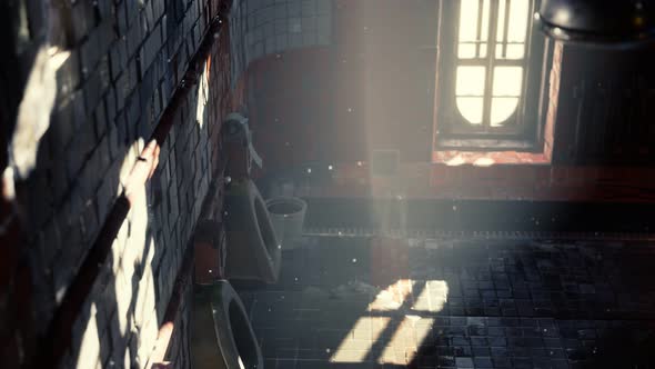 Abantoned Old Public Toilet with Bright Lights alt