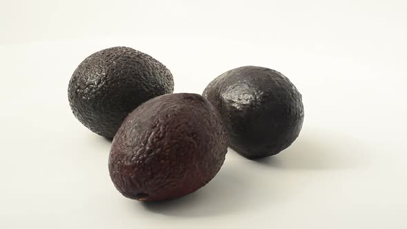 Avocado 15