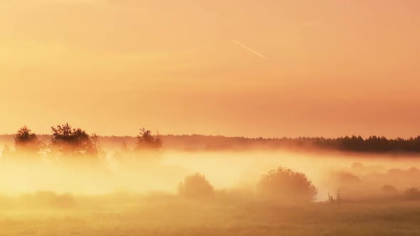 Moving Fog At Dawn 8 alt