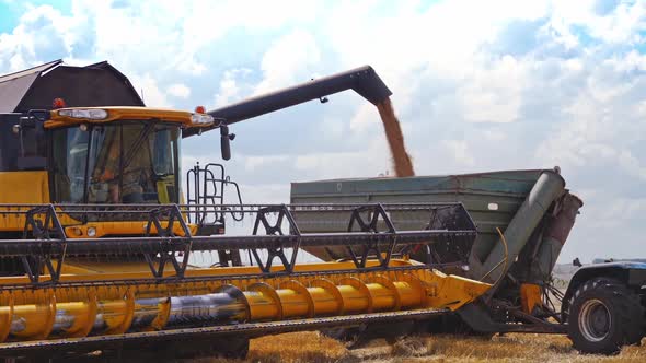 Machines harvesting in field. Tractor with trailer working in tandem alongside a working combine