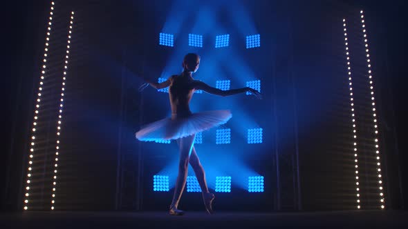A Classical Ballet Dancer Rehearsing on Stage. Party of the White Swan. Silhouettes of a Young