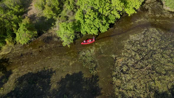 Boat Ride In The Floodplain Forest