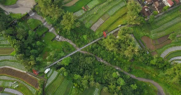 Aerial rotating top shot of suspension bridge named JOKOWI bridge.