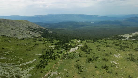 View from the height of the forest mountains