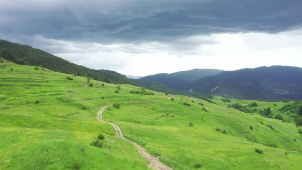 Green Fields in Wild Nature