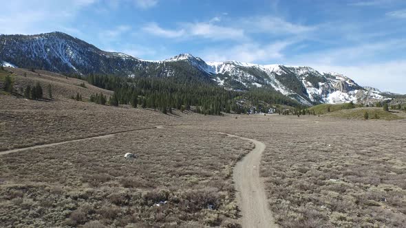 Aerial shot of a young man and woman trail running with dog on scenic mountain trail