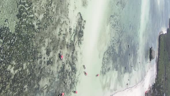 Zanzibar Tanzania  Vertical Video of the Ocean Near the Coast Slow Motion