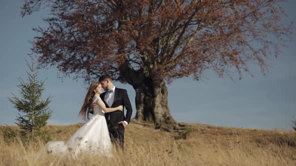 Newlyweds. Caucasian Groom with Bride Near Beautiful Autumn Tree. Wedding Couple