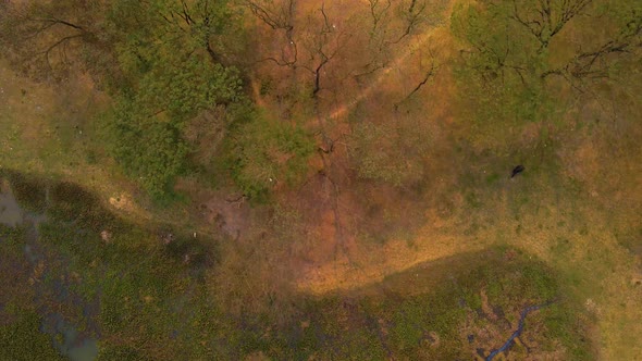 Top View Of Green Natural Landscape In Jahangir Nagar, Formerly Dhaka, In Bangladesh. aerial