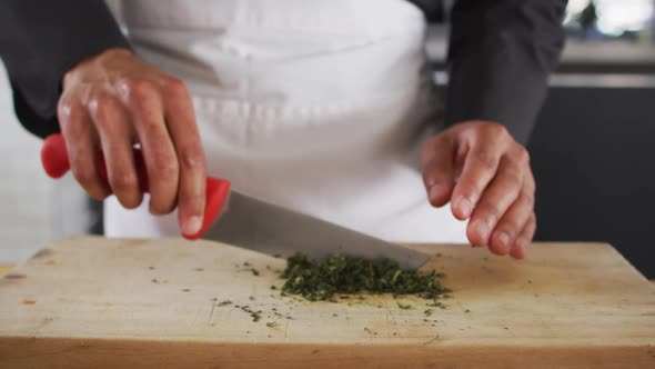 Mixed race female chef cutting vegetables