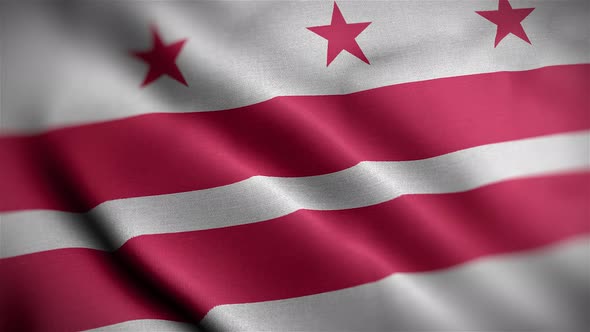 District Of Columbia FlagAngle