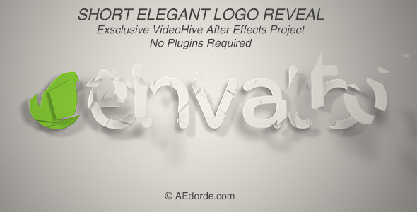 Short Elegant Logo Reveal