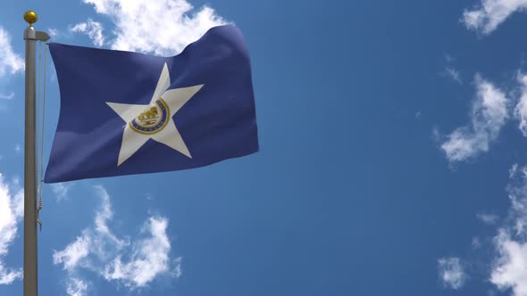 Houston City Flag Texas (Usa) On Flagpole