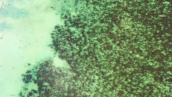 Daytime above copy space shot of a white paradise beach and blue ocean background in colorful 4K