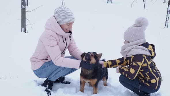 Funny Walk with Dog in Winter