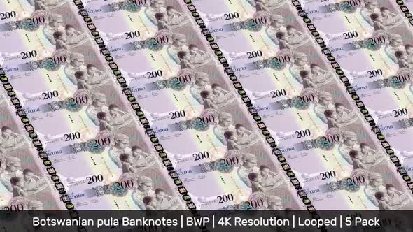 Botswana Banknotes Money / Botswanian pula / Currency P / BWP/ | 5 Pack | - 4K