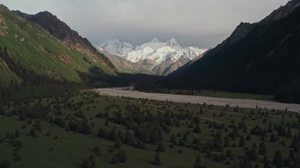 Mountains and trees at sunset