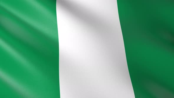 Flag of The Nigeria