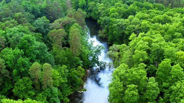 Stunning river and old green forest in Tuchola natural park, view from above, Poland