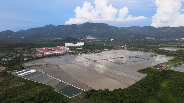 Aerial view water season of paddy field