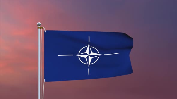 NATO Flag 4k