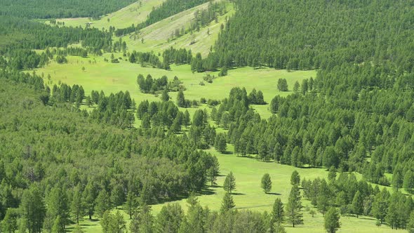 Green Meadows in The Sparsely Wooded Between Forest Covered Valleys