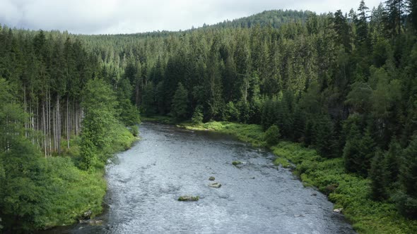 Aerial view of Schwarzer Regen river through forest, Bavaria, Germany