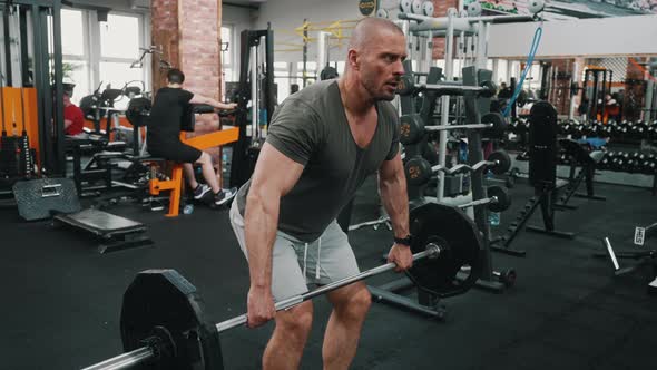 Handsome Sporty Man Exercising with Weight Plate in Gym